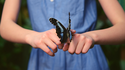 A girl with a butterfly on her hand.